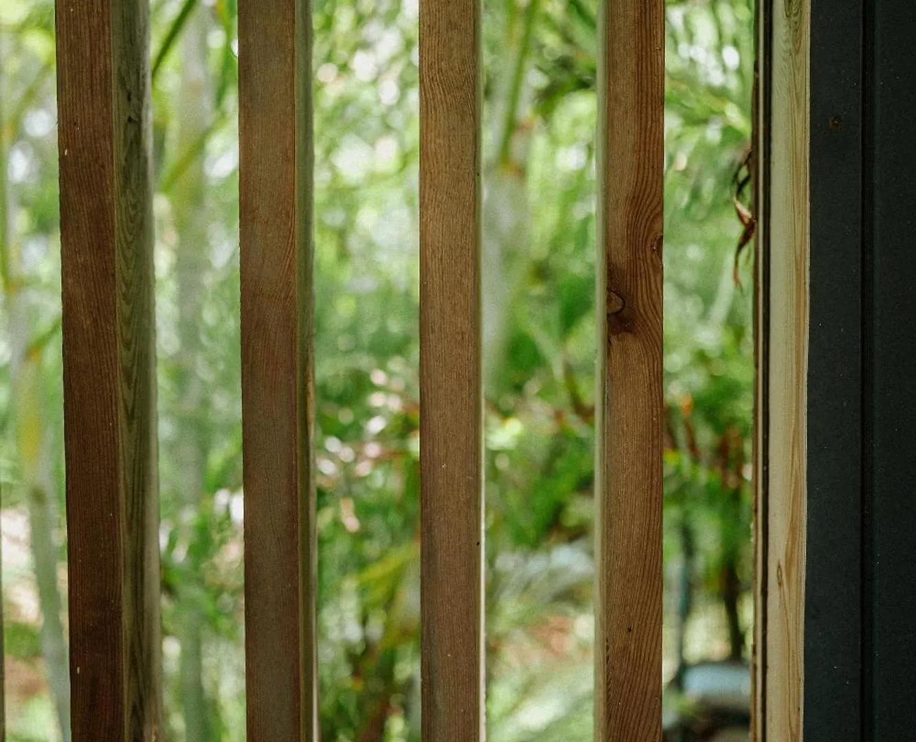 Villa Manika Vue Mer Le Moule Guadeloupe
